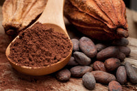 CACAO Orgánico en Polvo, (A GRANEL)